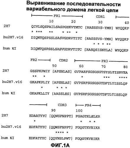 Способ лечения волчанки (патент 2396980)