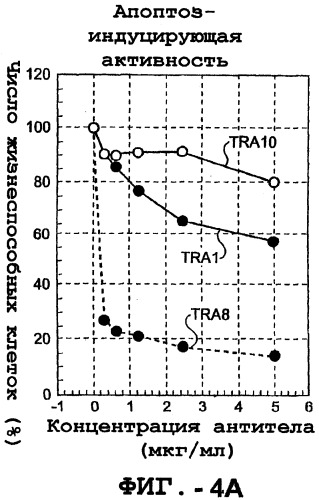 Антитело, обладающее селективностью по отношению к рецептору лиганда, индуцирующему апоптоз, ассоциированный с фактором некроза опухоли, и его использование (патент 2298013)