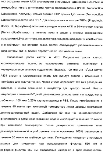 Человеческие моноклональные антитела к рецептору эпидермального фактора роста (egfr), способ их получения и их использование, гибридома, трансфектома, трансгенное животное, экспрессионный вектор (патент 2335507)