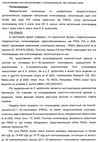 Иммуногенная композиция для применения в вакцинации против стафилококков (патент 2419628)