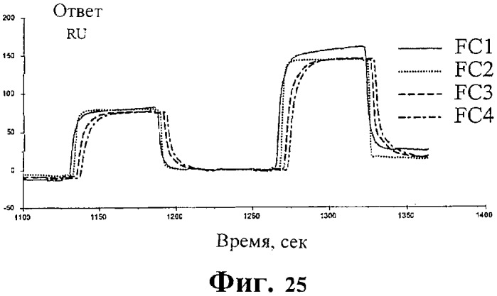 Экспонирование т-клеточных рецепторов (патент 2346004)