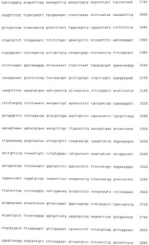 Нуклеиноваяя кислота, обладающая активностью гена фосфатазы фосфатидной кислоты (варианты), белок, рекомбинантный вектор, трансформант и способ получения композиции жирной кислоты (патент 2528875)