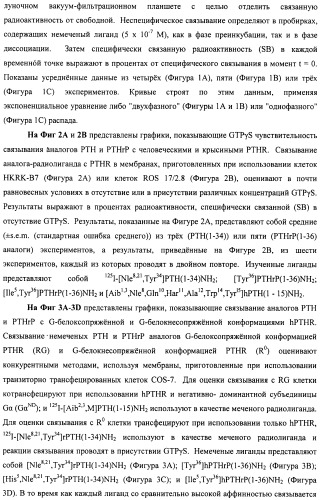 Способы скрининга с применением g-белок сопряженных рецепторов и родственных композиций (патент 2506274)