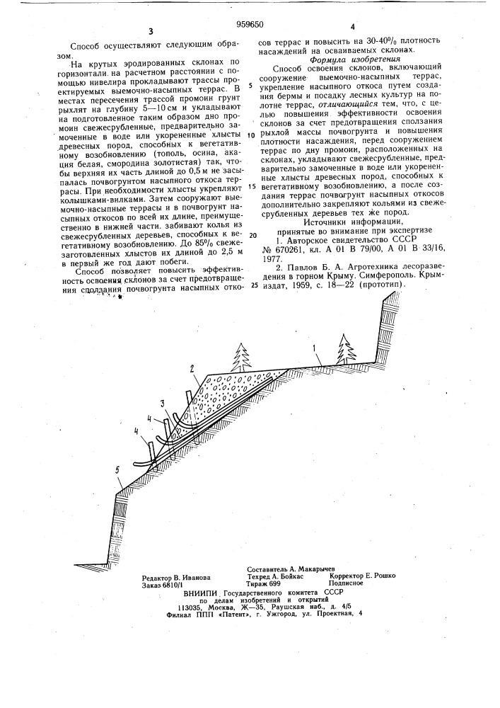 Способ освоения склонов (патент 959650)