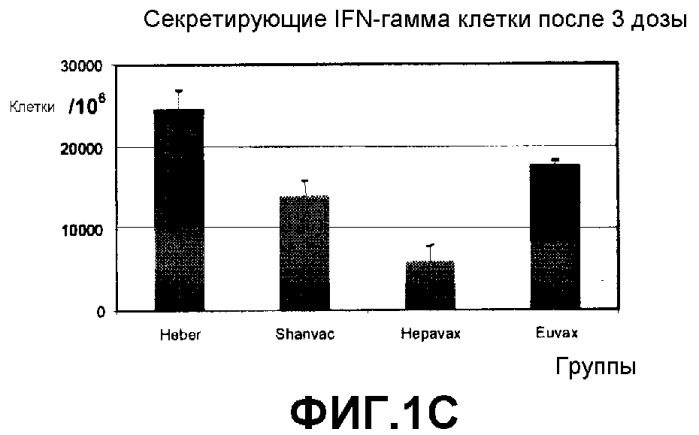 Фармацевтические композиции для терапевтического применения (патент 2362586)