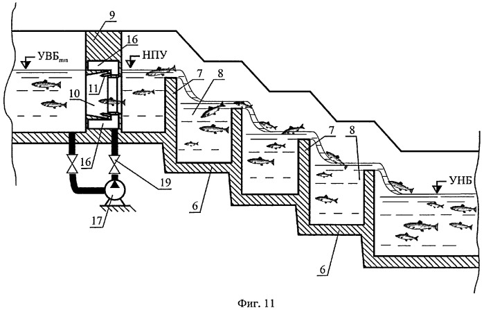 Способ пропуска рыб через рыбоход из нижнего бьефа гидроузла в верхний бьеф (варианты) (патент 2377365)