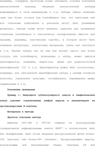 Нацеливание на антигенпрезентирующие клетки иммунонанотерапевтических средств (патент 2497542)