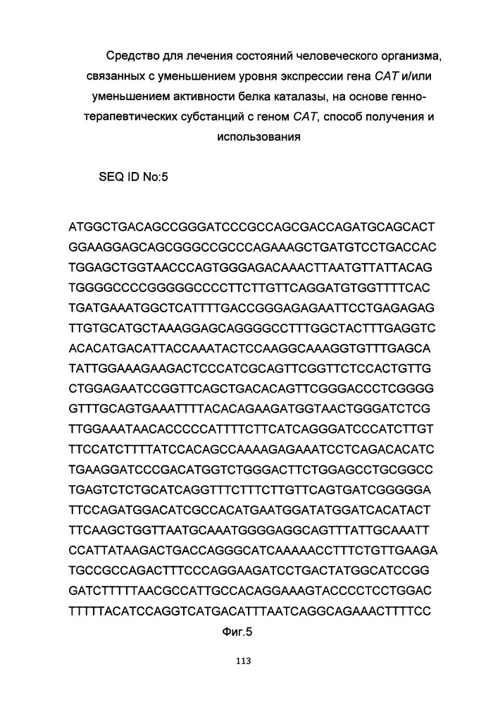 Средство для лечения состояний человеческого организма, связанных с уменьшением уровня экспрессии гена сат и/или уменьшением активности белка каталазы на основе генно-терапевтических субстанций с геном сат, способ получения и использования (патент 2649814)