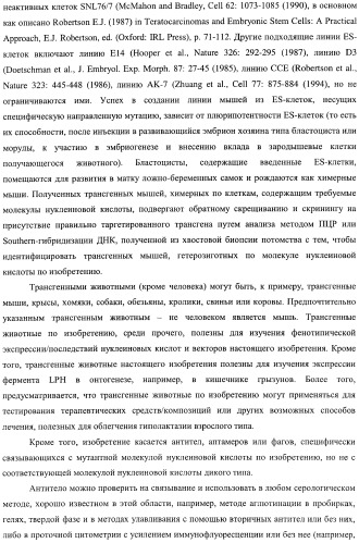 Идентификация варианта днк, связанного с гиполактазией взрослого типа (патент 2391404)