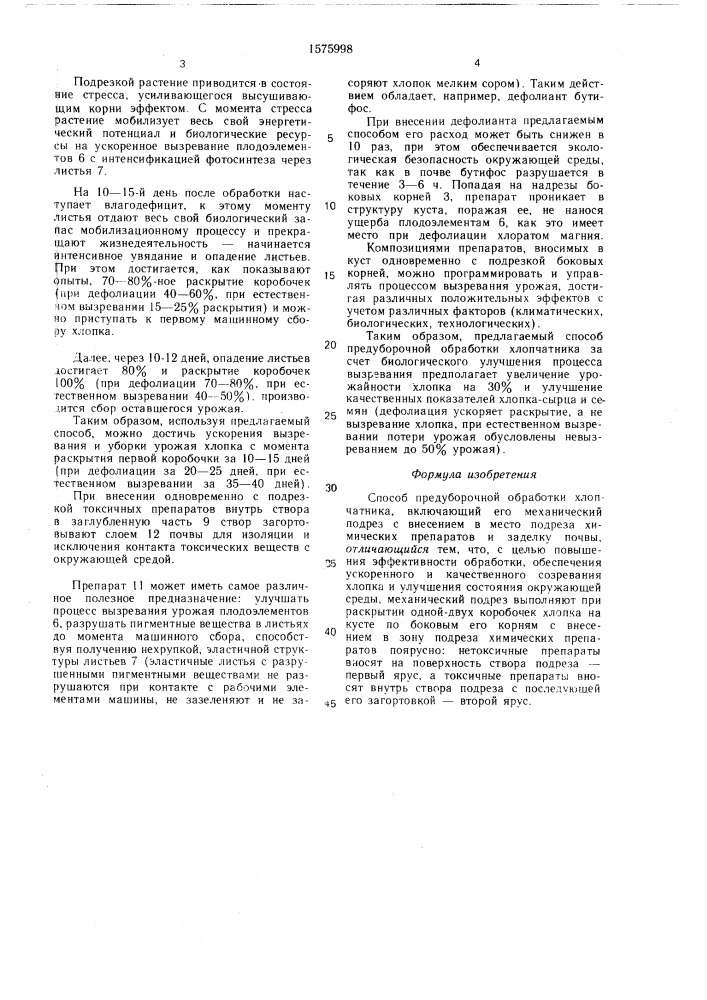 Способ предуборочной обработки хлопчатника (патент 1575998)