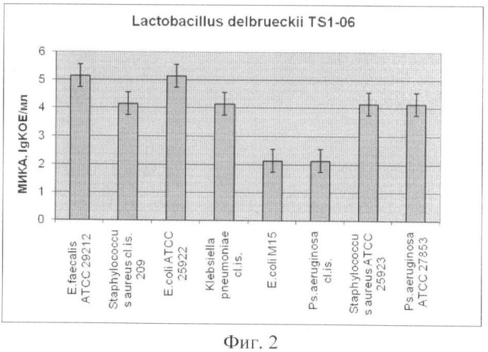 Штамм lactobacillus delbrueckii ts1-06, используемый для изготовления бактериальных препаратов и производства жидкой молочнокислой закваски в качестве продукта питания лечебно-профилактического назначения (патент 2391393)