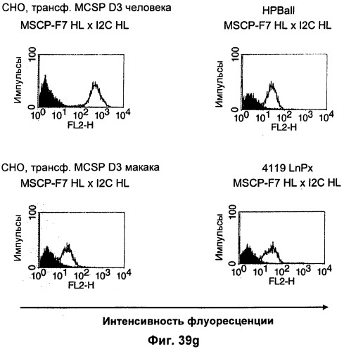 Pscaxcd3, cd19xcd3, c-metxcd3, эндосиалинxcd3, epcamxcd3, igf-1rxcd3 или fap-альфаxcd3 биспецифическое одноцепочечное антитело с межвидовой специфичностью (патент 2547600)