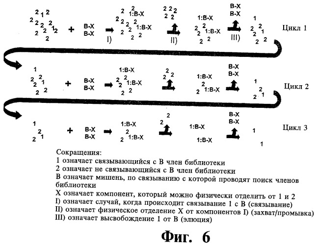 Биологически активное соединение, содержащее кодирующий олигонуклеотид (варианты), способ его синтеза, библиотека соединений (варианты), способ ее синтеза и способ поиска соединения, связывающегося с биологической мишенью (варианты) (патент 2470077)