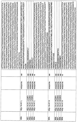 Pscaxcd3, cd19xcd3, c-metxcd3, эндосиалинxcd3, epcamxcd3, igf-1rxcd3 или fap-альфаxcd3 биспецифическое одноцепочечное антитело с межвидовой специфичностью (патент 2547600)