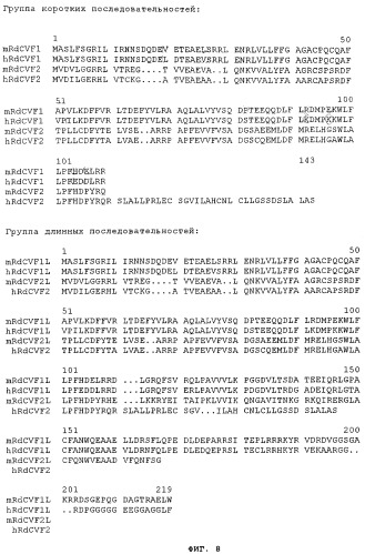 Протеин, связанный с заболеванием (патент 2384586)