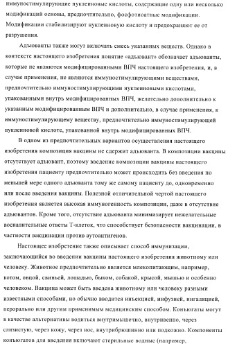 Вирусоподобные частицы, включающие гибридный белок белка оболочки бактериофага ар205 и антигенного полипептида (патент 2409667)