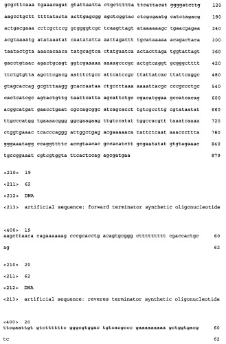 Мутантная ацетолактатсинтаза и способ продукции разветвленных l-аминокислот (патент 2355763)