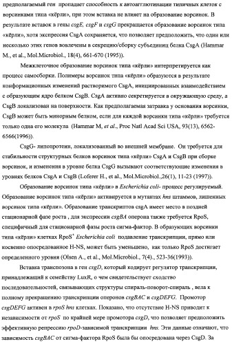 Способ получения l-треонина с использованием бактерии, принадлежащей к роду escherichia, модифицированной таким образом, что в ней нарушена способность к образованию ворсинок типа &quot;керли&quot; (патент 2338782)