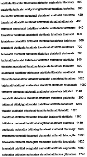 Днк, повышающая продуцирование белка, и ее применение (патент 2375450)
