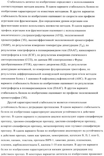 Стабилизированные антитела против ангиопоэтина-2 и их применение (патент 2509085)