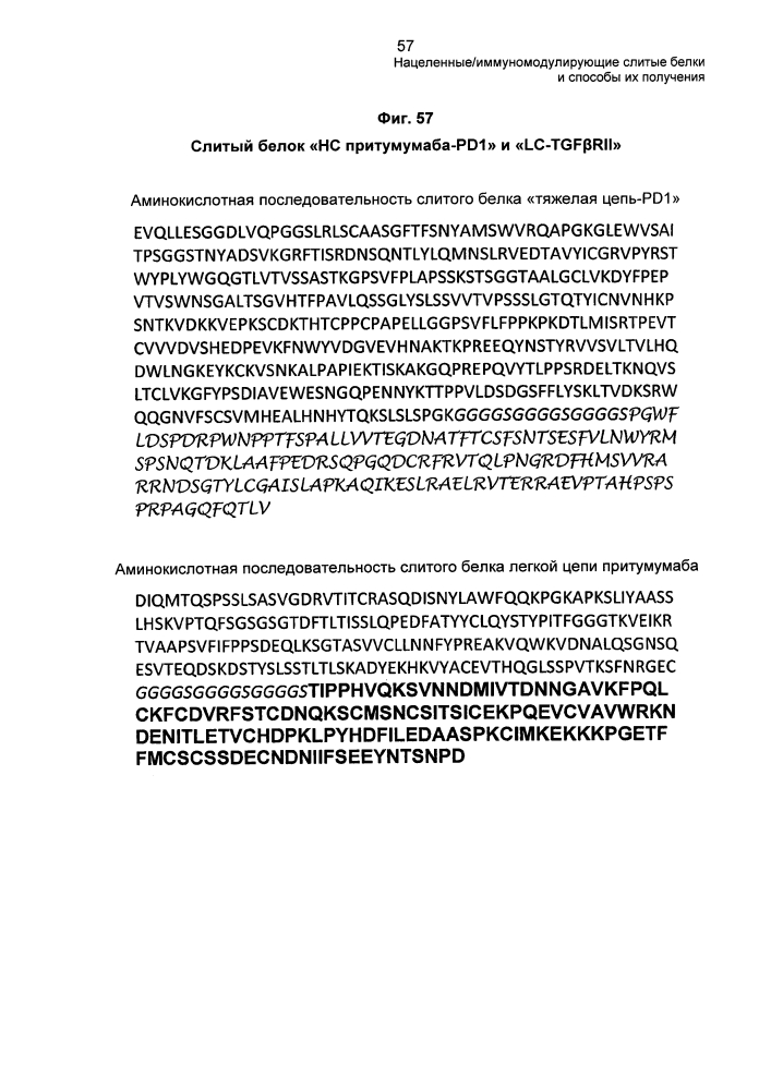 Нацеленные/иммуномодулирующие слитые белки и способы их получения (патент 2636342)