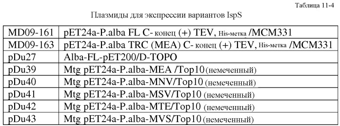 Варианты изопренсинтазы, применяемые для улучшения продуцирования изопрена микроорганизмами (патент 2516343)