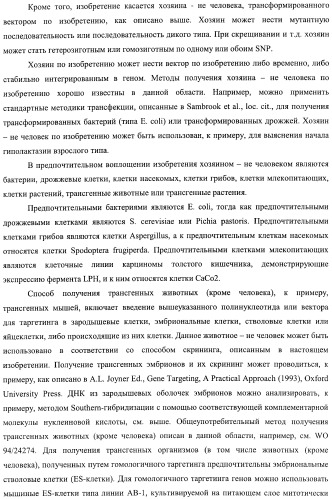 Идентификация варианта днк, связанного с гиполактазией взрослого типа (патент 2391404)