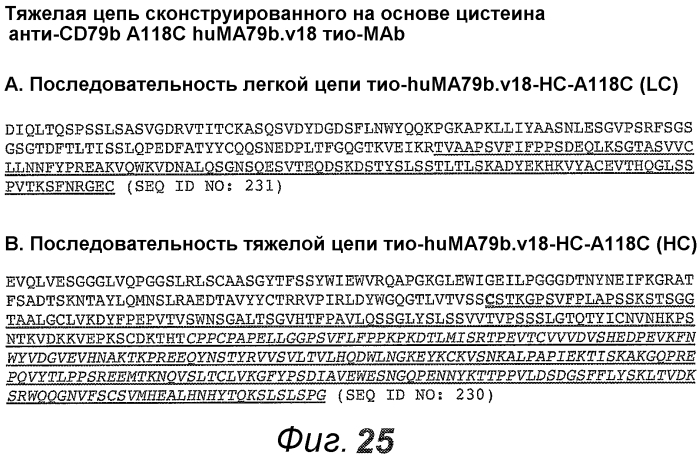 Анти-cd79b антитела и иммуноконъюгаты и способы их применения (патент 2553566)