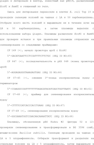 Полимеры изопрена из возобновляемых источников (патент 2505605)