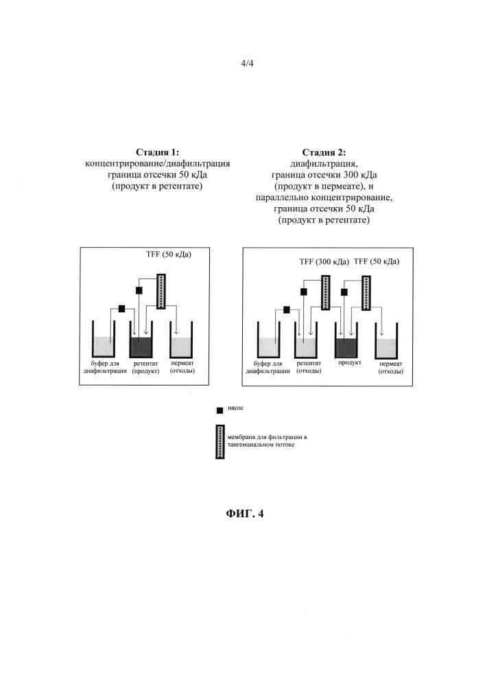 Очистка полипептидов с использованием двухстадийной ультрафильтрации в тангенциальном потоке (патент 2632568)