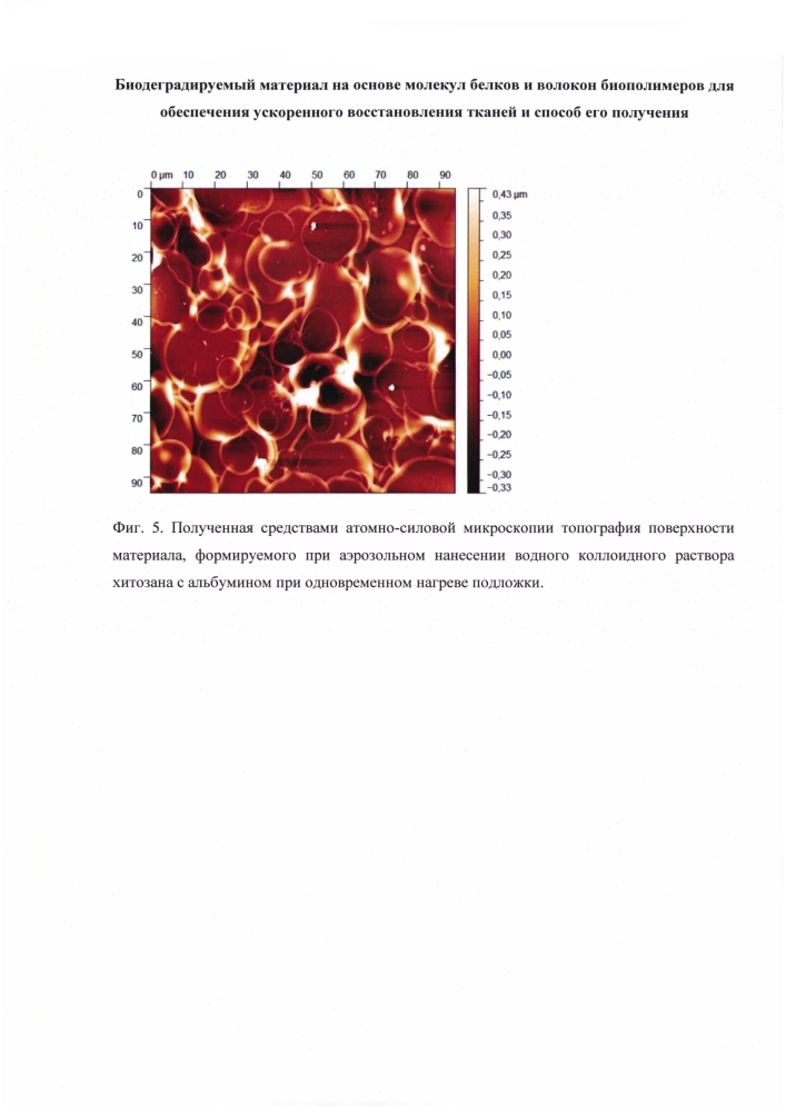 Биодеградируемый материал на основе молекул белков и волокон биополимеров для обеспечения ускоренного восстановления тканей и способ его получения (патент 2602775)