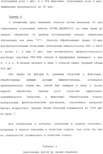 Scfv против egfrviii с улучшенной цитотоксичностью и выходом, иммунотоксины на их основе и способы их применения (патент 2317999)