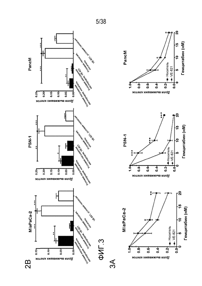 Лечение рака поджелудочной железы и немелкоклеточного рака легкого ингибиторами atr (патент 2648507)