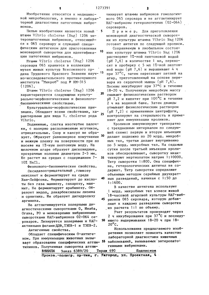 Штамм @ @ ( @ )1206 серовара 065,используемый для получения диагностической агглютинирующей моноварной сыворотки (патент 1273391)