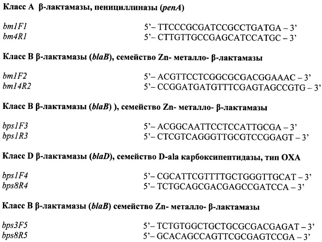 Олигонуклеотидные праймеры для детекции и типирования генов  -лактамаз патогенных буркхольдерий (патент 2474614)