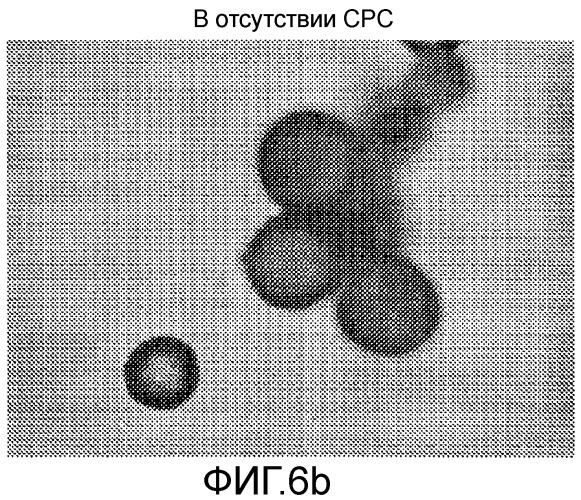 Полимерные продукты инкапсуляции, содержащие четвертичную аммонийную соль, и способы их получения (патент 2432149)