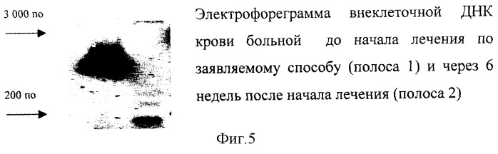 Способ лечения генерализованных инфекций, вызываемых бактериями, или заболеваний, вызываемых грибами и простейшими, или атеросклероза, или сахарного диабета, или заболеваний, связанных с реакцией гиперчувствительности замедленного типа, или заболеваний, обусловленных мутациями генов соматических клеток (патент 2269358)