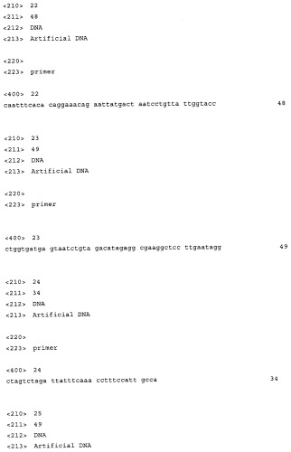 Использование фосфокетолазы для продукции полезных метаболитов (патент 2322496)