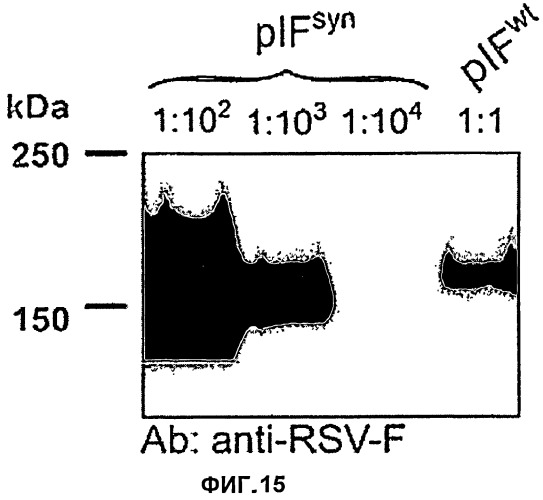 F-белок респираторно-синцитиального вируса и его применение (патент 2464316)