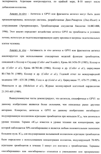 Антитела к гликопротеину vi и способы продуцирования и использования этих антител (патент 2407752)