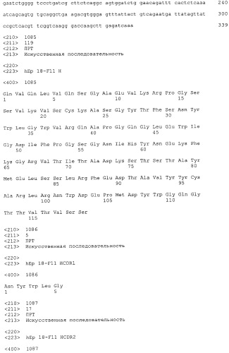 Pscaxcd3, cd19xcd3, c-metxcd3, эндосиалинxcd3, epcamxcd3, igf-1rxcd3 или fap-альфаxcd3 биспецифическое одноцепочечное антитело с межвидовой специфичностью (патент 2547600)