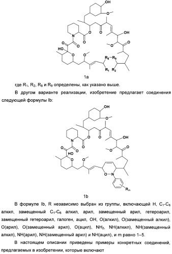 Аналоги рапамицина и их применение при лечении неврологических, пролиферативных и воспалительных заболеваний (патент 2394036)