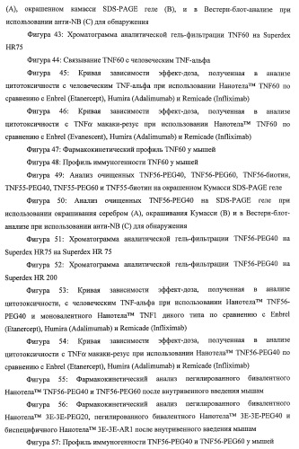 Улучшенные нанотела против фактора некроза опухоли-альфа (патент 2464276)