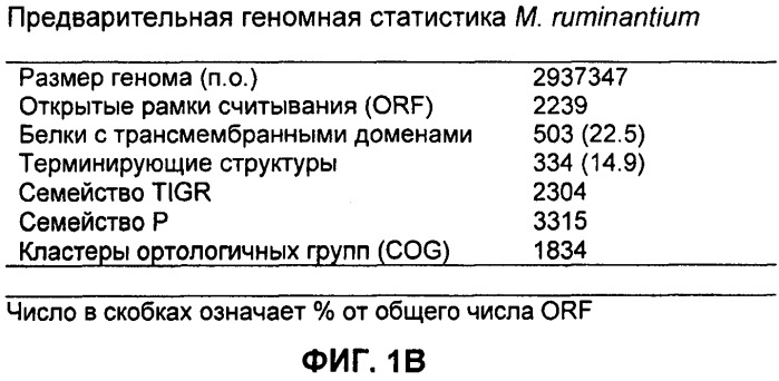 Вакцины и компоненты вакцин для подавления микробных клеток (патент 2528854)