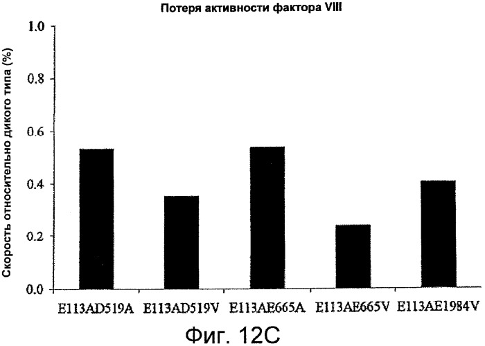Рекомбинантный фактор viii, обладающий повышенной стабильностью (патент 2531493)