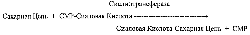 Способы получения сахарной цепи, содержащей сиаловую кислоту (патент 2597975)