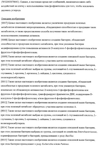 Использование фосфокетолазы для продукции полезных метаболитов (патент 2322496)