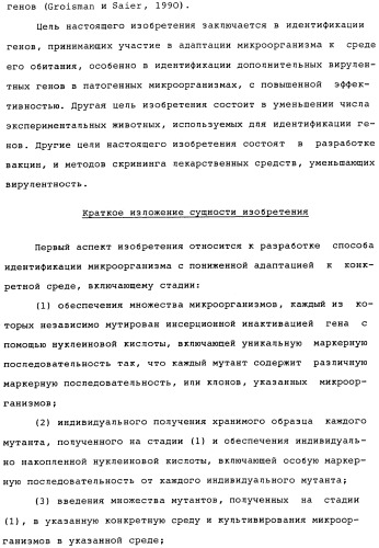 Vgc2 днк salmonella typhimurium, мутантная бактерия, обладающая пониженной способностью к адаптации к условиям окружающей среды, и способ ее получения (патент 2370541)