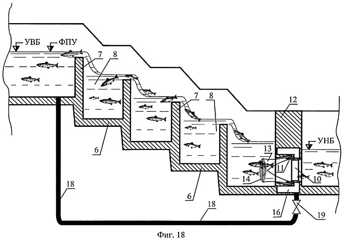 Способ пропуска рыб через рыбоход из нижнего бьефа гидроузла в верхний бьеф (варианты) (патент 2377365)