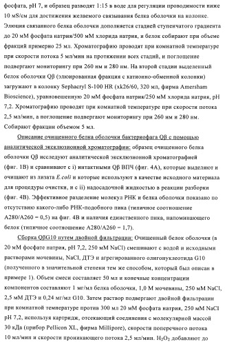 Способы упаковки олигонуклеотидов в вирусоподобные частицы рнк-содержащих бактериофагов (патент 2476595)